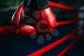 Red gloves on the ring ropes, boxing concept, nobody. Martial arts symbol