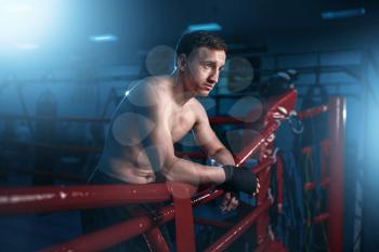 Portrait of boxer in black handwraps poses on the ring ropes. Boxing workout, mens sport