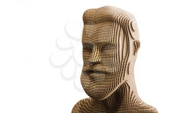 Human head model isolated on white background. Cardboard idea