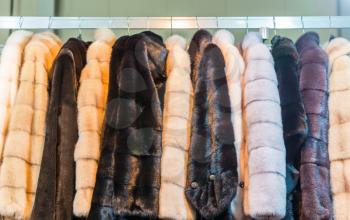 Collection of fur coats in shop, store showcase, rich winter wardrobe