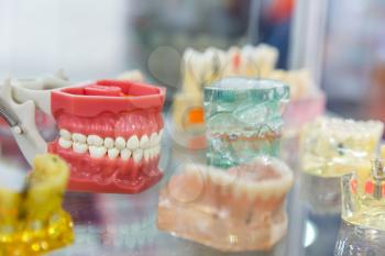 Denture treatment, dental implants, orthodontic medicine equipment. Dentist cabinet, stomatology. Tooth care mouth hygiene