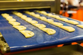 Professional bakery equipment, pastry conveyor machine. Food preparing, technology line