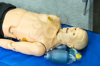 Medical training mannequin, professional medicine equipment. Healthcare technology