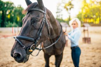 Portrait of young blonde woman with horse, blur background. Equestrian sport, attractive lady and beautiful stallion