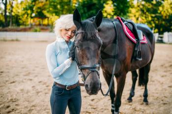 Female rider hugs her horse, friendship, horseback riding. Equestrian sport, young woman and beautiful stallion, farm animal