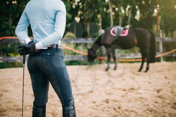 Female rider trains her horse, horseback riding. Equestrian sport, young woman and beautiful stallion