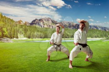 Martial arts karate masters in white kimono and black belts, training in summer park