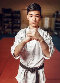Martial arts, young fighter in white kimono and black belt making a sign of respect, indoor training