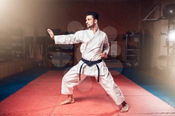 Martial arts karate master in white kimono with black belt, karate training in gym