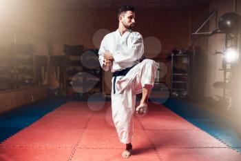 Martial arts master in white kimono with black belt, karate training in gym