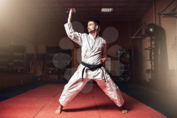 Martial arts master in white kimono and black belt on karate training in gym