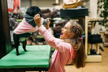 Little girl try on clothes for puppy in pet shop. Kid customer buying dogs overall in petshop, goods for domestic animals