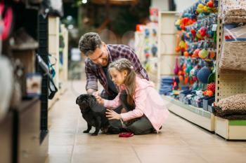 Father and little dauther are plays with puppy in pet shop. Family buying supplies for little dog in petshop