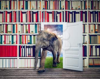 Elephant against book shelf in library, knowledge symbol, metaphor. Wisdom concept