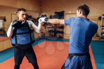 Male kickboxer in gloves practicing hand punch with a personal trainer in pads, workout in gym. Boxer on training, kickboxing practice
