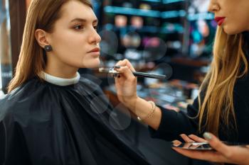 Visagiste applies powder with a brush, woman in makeup shop. Female client in beauty salon