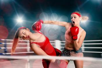 Two female kickboxers in action, fighting on the ring, low kick.Martial art concept