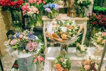 Fresh bouquets arrangement in flower boutique, nobody. Floral business, showcase in shop