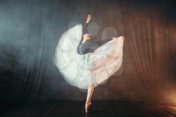 Ballet dancer in motion on the stage in theatre. Graceful ballerina training in class