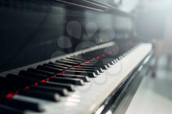 Grand piano keys closeup, nobody. Horizontal macro view of royale keaboard, classical musical instrument