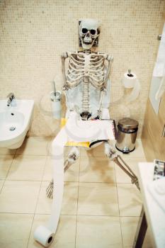 Human skeleton with book in hand sitting on toilet in restroom, black humor