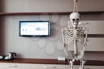 Funny human skeleton is hanging on the gallow, tv on background. Humor or joke
