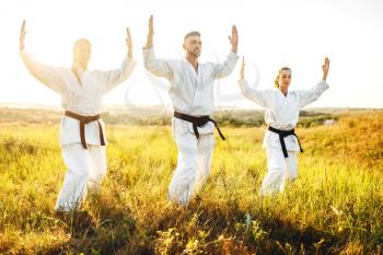Two female fighters on karate training with male master in summer field. Martial art workout outdoor, technique practice
