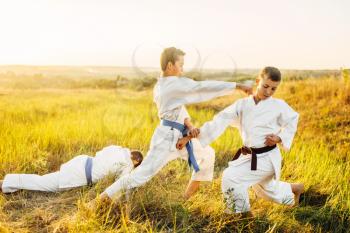 Junior karate fighters, training fight in summer field. Martial art workout outdoor, technique practice