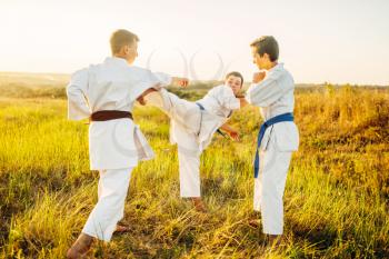 Junior karate fighters, training fight in summer field. Martial art workout outdoor, technique practice
