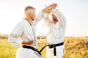 Two karate fighters with black belts on training fight in summer field. Martial art fighters on workout outdoor, technique practice