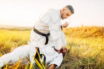 Karate fighter deals a decisive kick to the opponent, training fight in summer field. Martial art fighters on workout outdoor, technique practice