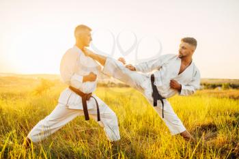 Two karate fighters, kick in the stomach in action, training fight in summer field. Martial art fighters on workout outdoor, technique practice