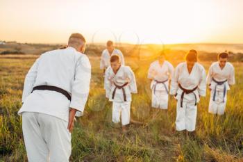 Karate fighting team in white kimono on training with master in summer field. Martial art workout outdoor, technique practice