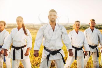 Karate group in white kimono, workout in summer field. Martial art training outdoor, black belt fighters