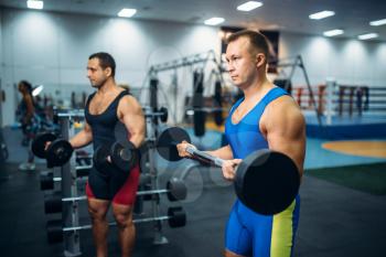 Strong male athletes works with weights in gym. Weightlifting workout in sport or fitness club