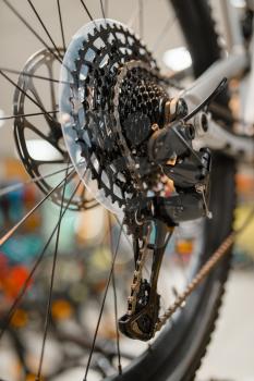 Mountain bicycle in sports shop, focus on rear wheel with gear shift system, nobody. Summer active leisure, showcase with bikes, cycle sale, professional biking equipment
