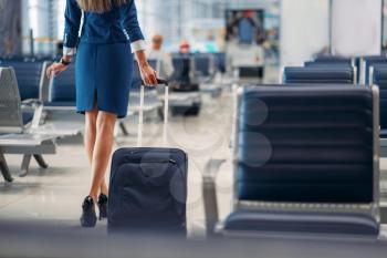 Air hostess with suitcase going between seat rows in airport. Stewardess with baggage, flight attendant with hand luggage, aviatransportations job