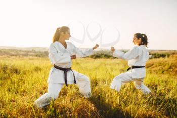 Two female karate in kimono training combat skill in summer field. Martial art workout outdoor, technique practice, photo manipulation with background
