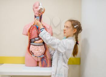 Cute girl in uniform playing doctor, playroom. Kid plays medicine worker in imaginary hospital, profession learning at the medical dummy with internal organs