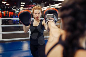 Woman in gloves boxing in the ring with trainer, box workout. Female boxers in gym, kickboxing sparring partners in sport club, punches practice