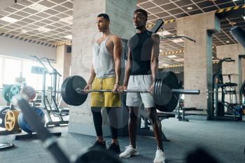 Two muscular men poses with heavy barbell on training in gym. Workout in sport club, healthy lifestyle