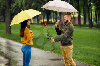 Love couple with umbrellas, romantic date in park in rainy day. Man with red rose waiting for his woman on walking path, wet weather in alley