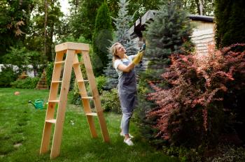 Attractive woman with pruners climbs the stairs in the garden. Female gardener takes care of plants outdoor, gardening hobby