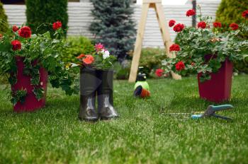 Gardening tools and rubber boots, nobody. Gardener or florist equipment. Watering spray, hoe and pruners on the grass near the flower bed and flowerpots, summer hobby, garden