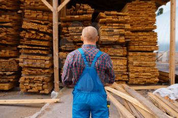 Joiner in uniform check boards on timber mill, lumber industry, carpentry. Wood processing on factory, forest sawing in lumberyard, warehouse outdoor