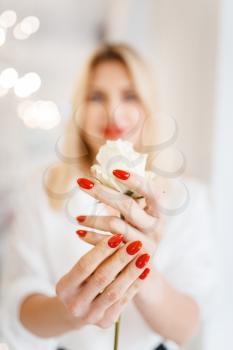 Woman holds white rose, front view, focus on manicure and flower beauty salon. Professional beautician service, female customer hands after fingernail care procedure in spa studio