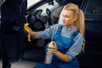 Female washer with sponge cleans automobile door trim, car wash service. Woman washes vehicle, carwash station, car-wash business