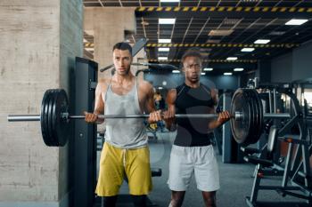 Two muscular men poses with heavy barbell on training in gym. Workout in sport club, healthy lifestyle