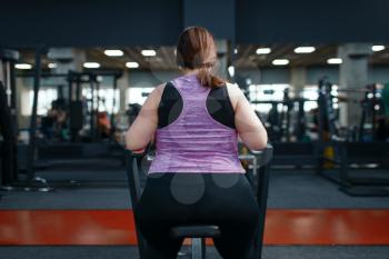 Overweight woman doing exercise in gym, back view, active training. Female person struggles with excess weight, aerobic workout against obesity, sport club