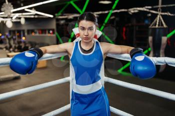 Woman in blue gloves standing in the corner of the boxing ring, box training. Female boxer in gym, kickboxing sparring in sport club